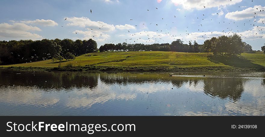 The garden and lake  at leeds castle in kent england. The garden and lake  at leeds castle in kent england