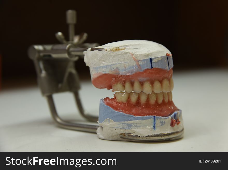 Modeling jaw in dental studio