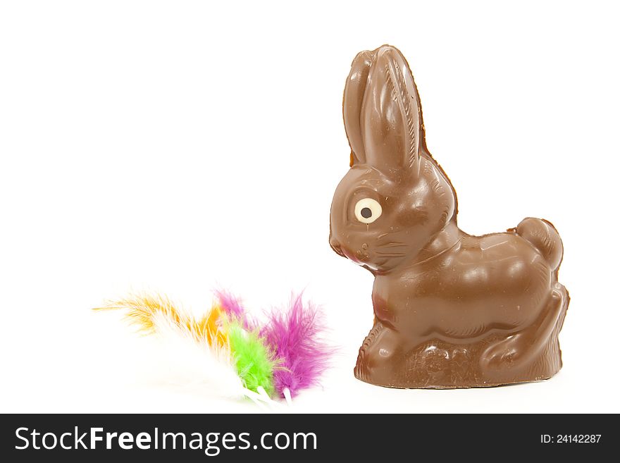 Chocolate Bunny