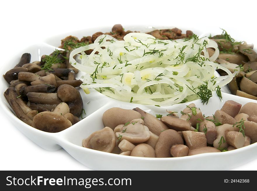 Plate with an assortment of mushrooms on a white background. Plate with an assortment of mushrooms on a white background