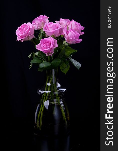 Beautiful pink roses on black background