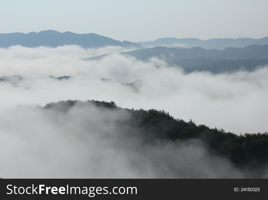 Foggy clouds in the hills