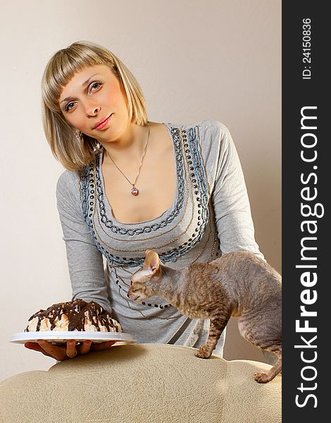 Girl weeds the cat cornish rex with cake. Girl weeds the cat cornish rex with cake