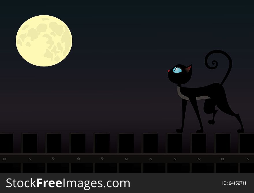 Cat On Fence