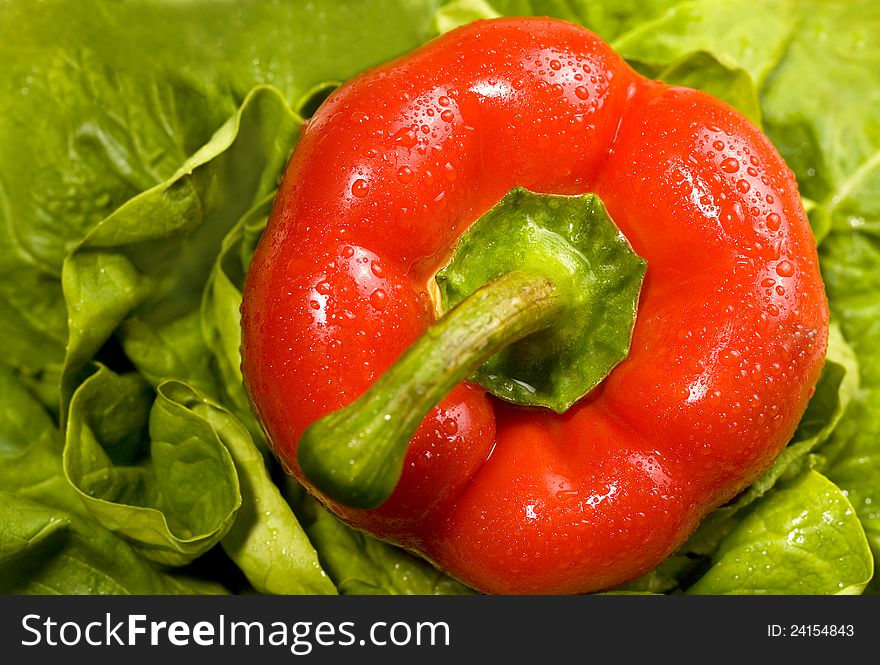 Fresh and healthy vegetables -freshness nature