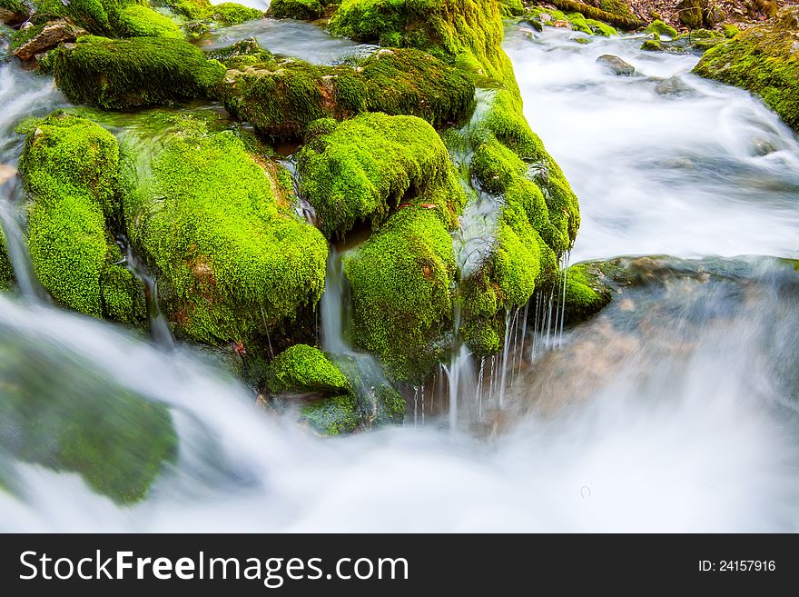 River flows through the moss and stones. River flows through the moss and stones