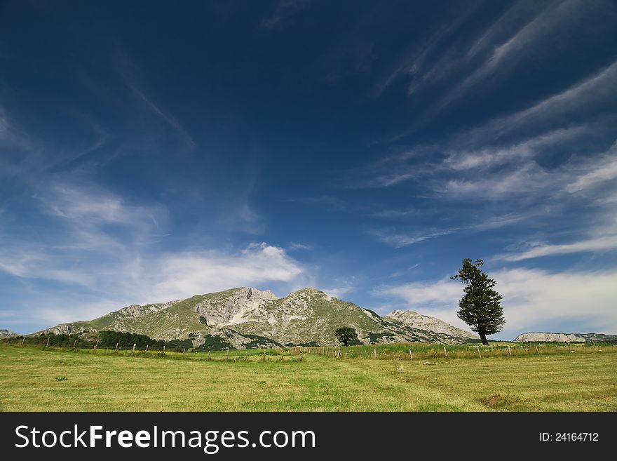 Mountain In Durmitor Parc Montenegro