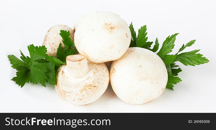 Fresh mushroom on white background