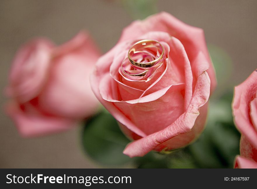 Image of a roses and rings on it