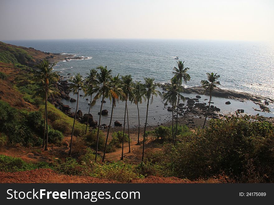 Shore of the Indian Ocean  Anjuna, Goa