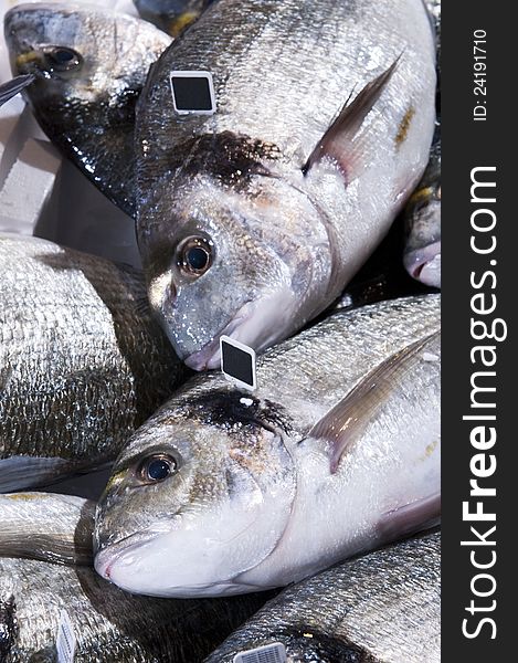 Sea fish exposed on the shelves at the market