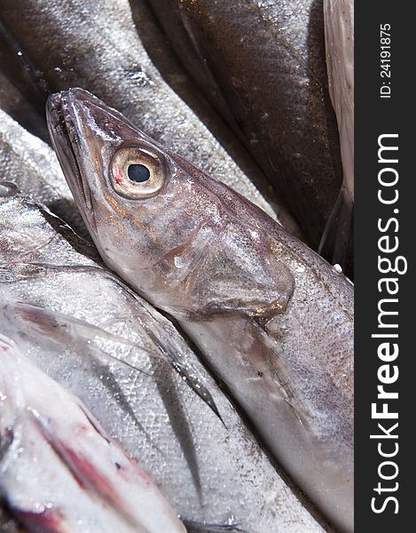 Sea fish exposed on the shelves at the market