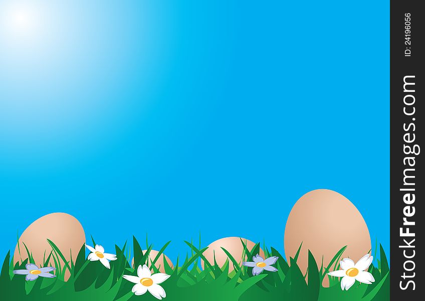 Illustration of chicken eggs on the grass against blue sky