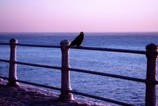 Sunrise Royalty Free Stock Images Sunrise Royalty Free Stock Images
