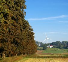 Trees Alley And Wind Turbine Stock Image