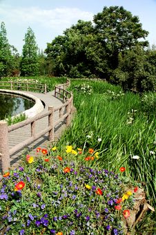 City Marsh Park Royalty Free Stock Image City Marsh Park Royalty Free Stock Image