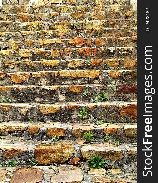 Portrait photo of a neglected stairway. Portrait photo of a neglected stairway