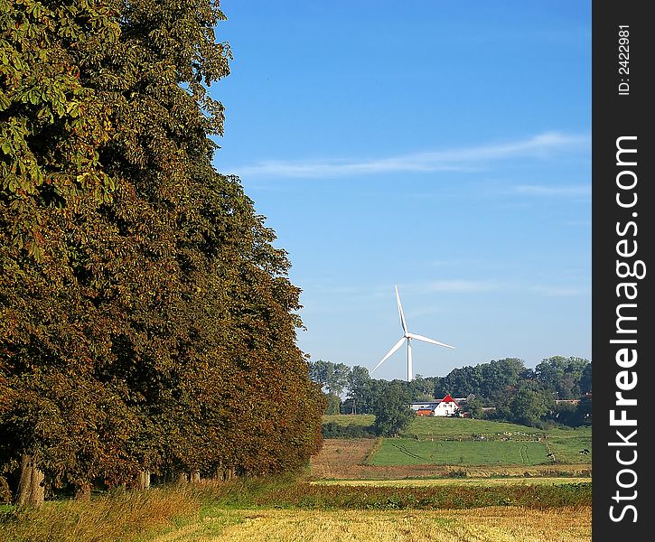 Trees alley and wind turbine