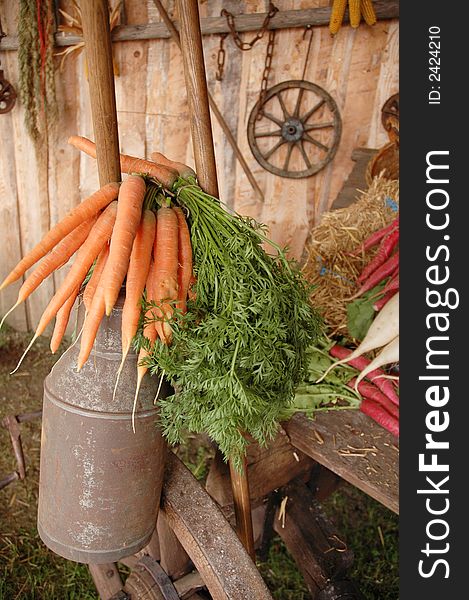Old canister with carrots on t