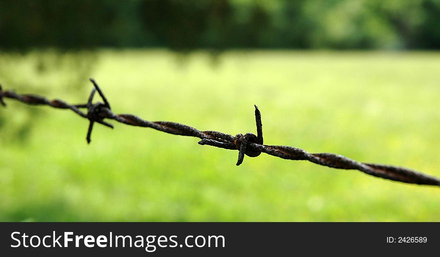 Barbed wire has always fascinated me so when I got this photograph I was thrilled!. Barbed wire has always fascinated me so when I got this photograph I was thrilled!