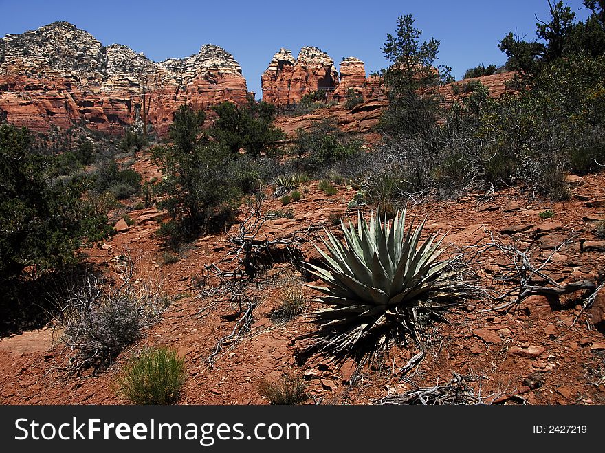 A beautiful landscape shot of the Arizona Desert