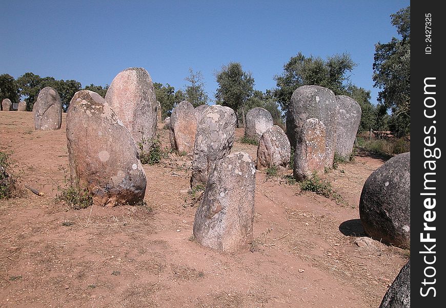 A cromelech with a great quantity of menhirs