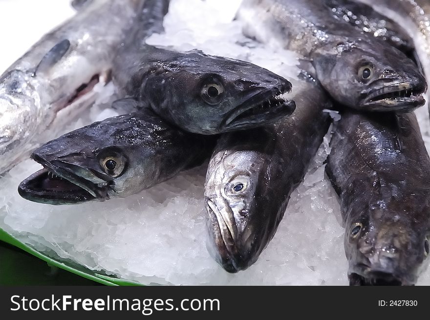 Fresh fish sold on weekly fish market