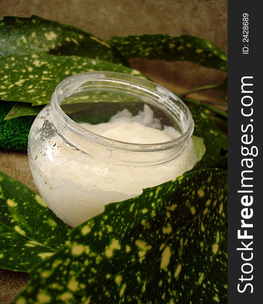 Moisturizing Cream With Leaves