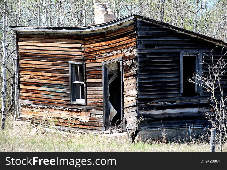 Old wooden derelict cabin in the woods