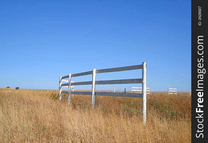 Horse Stable On A Field