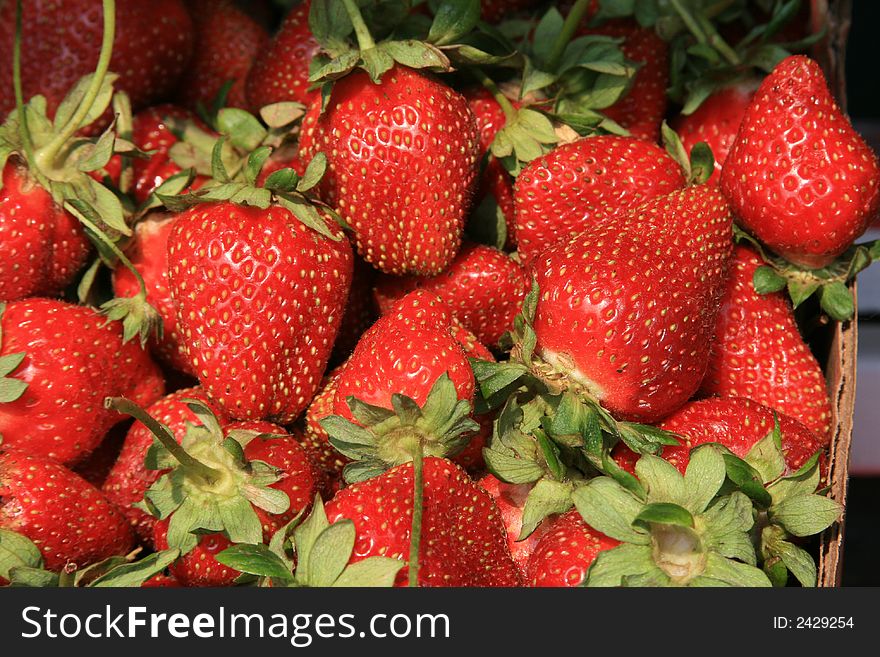 Close up of a basket of fresh strawberries. Close up of a basket of fresh strawberries