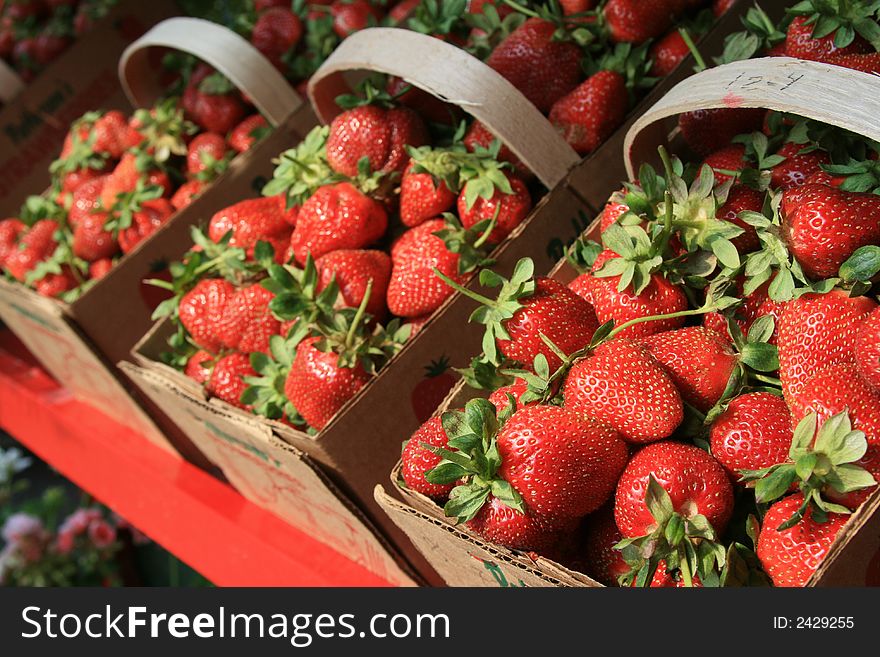 Fresh picked strawberrys for sale at a roadside stand in Concord, NC. Fresh picked strawberrys for sale at a roadside stand in Concord, NC.