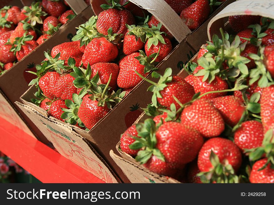 Red Berry Baskets