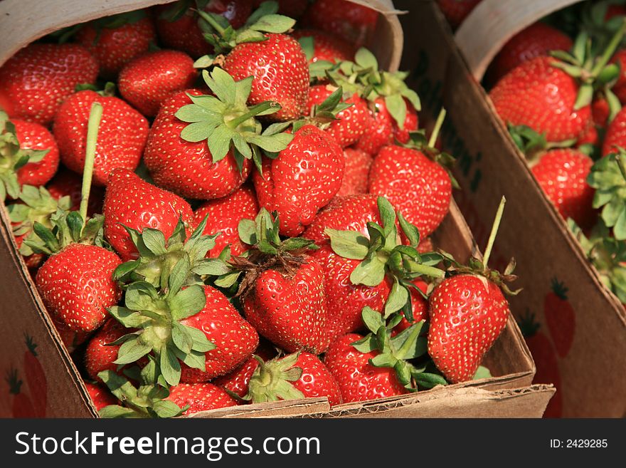 A Fresh Basket of Strawberries. A Fresh Basket of Strawberries