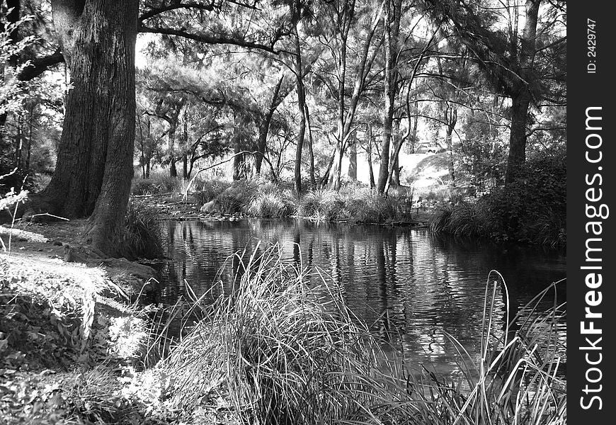 Black and white photo taken at Cotter, Australian Capital Territory
