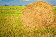 Harvested Field With Straw Bales In Summer Stock Image Harvested Field With Straw Bales In Summer Stock Image