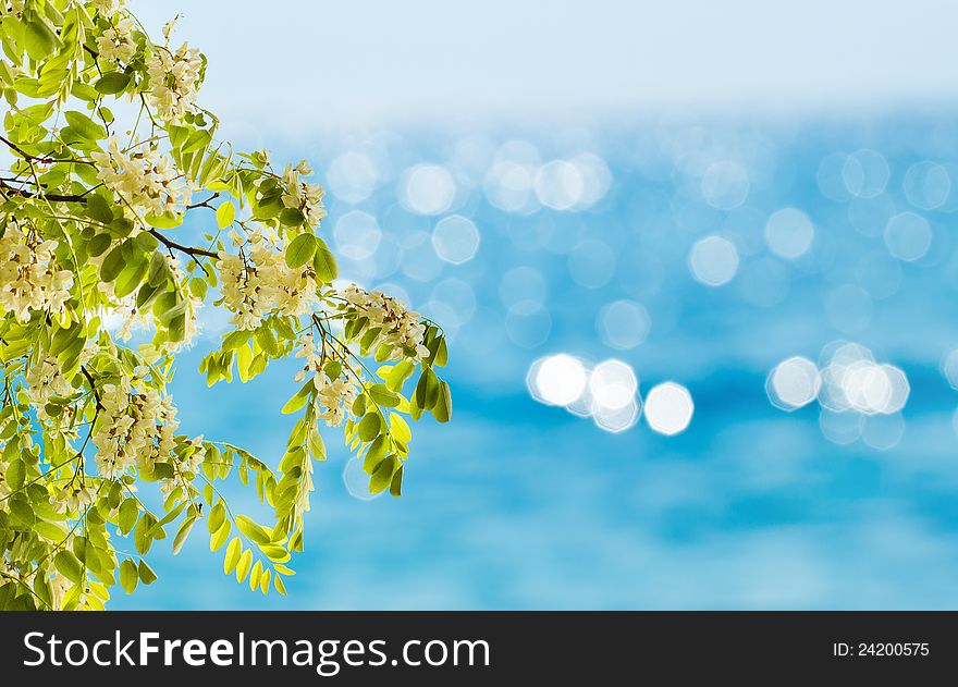 Abstract spring or summer backgrounds with beautiful blue bokeh