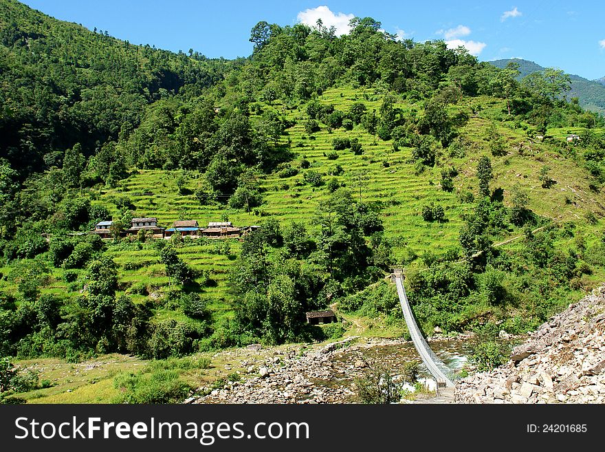 Green rice fields and mountain river landscape, trek to Annapurna Base Camp in Nepal. Green rice fields and mountain river landscape, trek to Annapurna Base Camp in Nepal