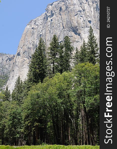 El Capitan - a large granite rock in Yosemite popular for rock climbers. El Capitan - a large granite rock in Yosemite popular for rock climbers