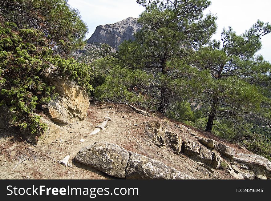 Old Water Pipes In The Mountains.