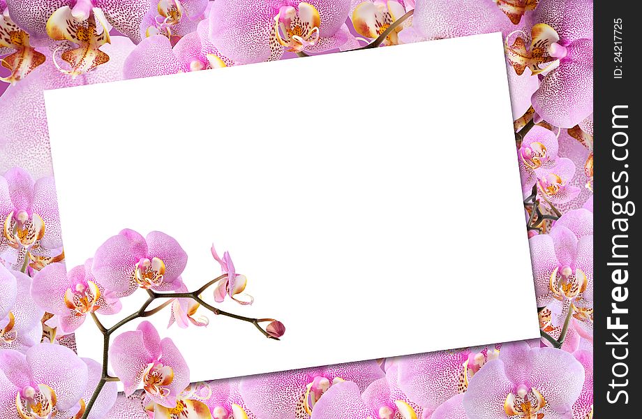 Blank sheet of paper for text on pink orchid flowes background. Blank sheet of paper for text on pink orchid flowes background
