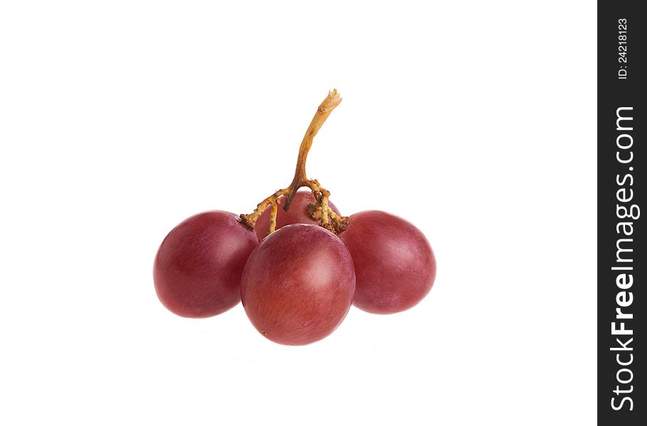 Red Grape