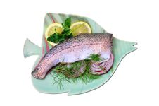Rainbow Trout Royalty Free Stock Photography Rainbow Trout Royalty Free Stock Photography