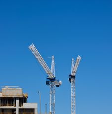 Two Cranes Stock Photos Two Cranes Stock Photos