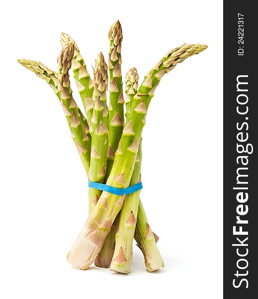 Bound asparagus cluster against white background