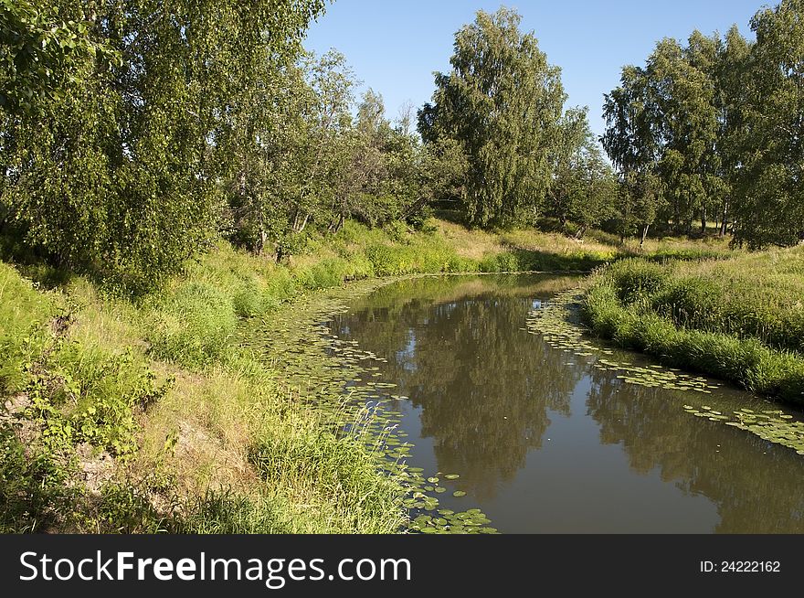 Still river with water lily in summer time