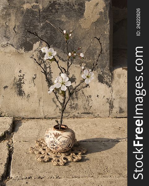 Blossoming branch in a vase on the old background