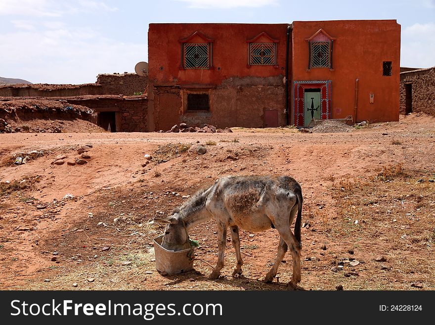 Donkey In front of an old house In Telouet, Morocco. Donkey In front of an old house In Telouet, Morocco