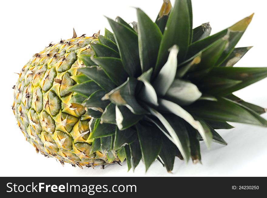 Closeup Fresh Pineapple Fruit Isolated