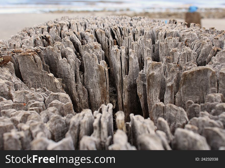 A close look at at driftwood tree stump, and the pattern inside. A close look at at driftwood tree stump, and the pattern inside.